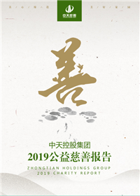 俄罗斯专享会集团<br>2019公益慈善报告